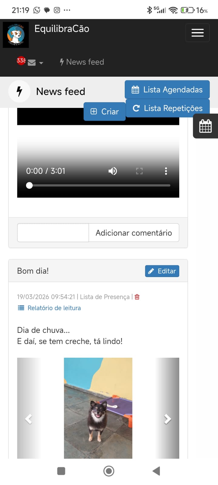 Feed Diário